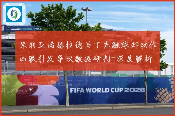 朱利亚诺赫拉德马丁先触球却动作凶狠引发争议数据研判-深度解析