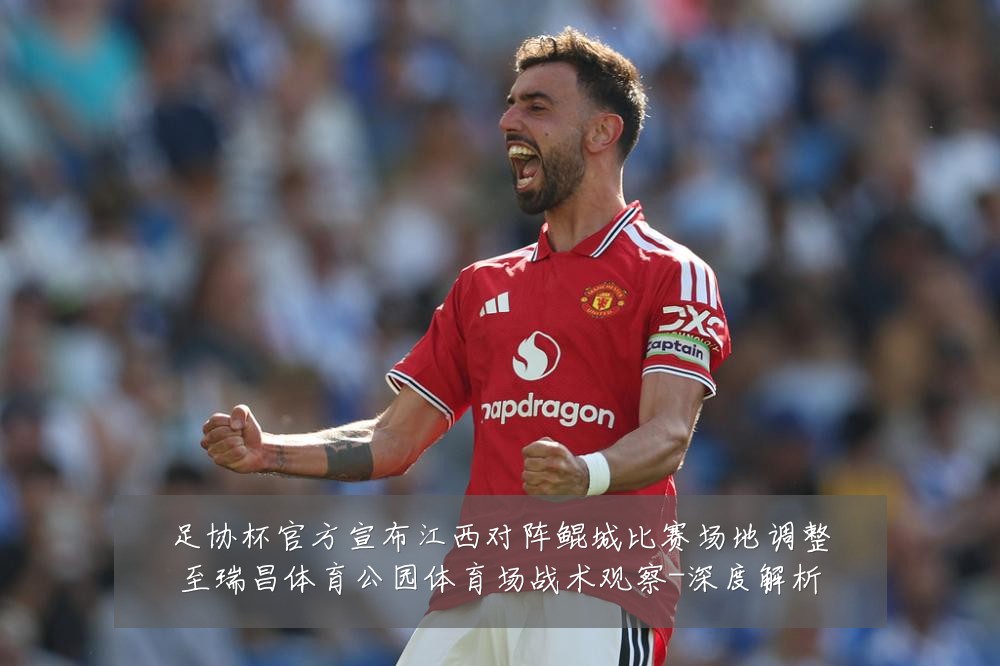 足协杯官方宣布江西对阵鲲城比赛场地调整至瑞昌体育公园体育场战术观察-深度解析