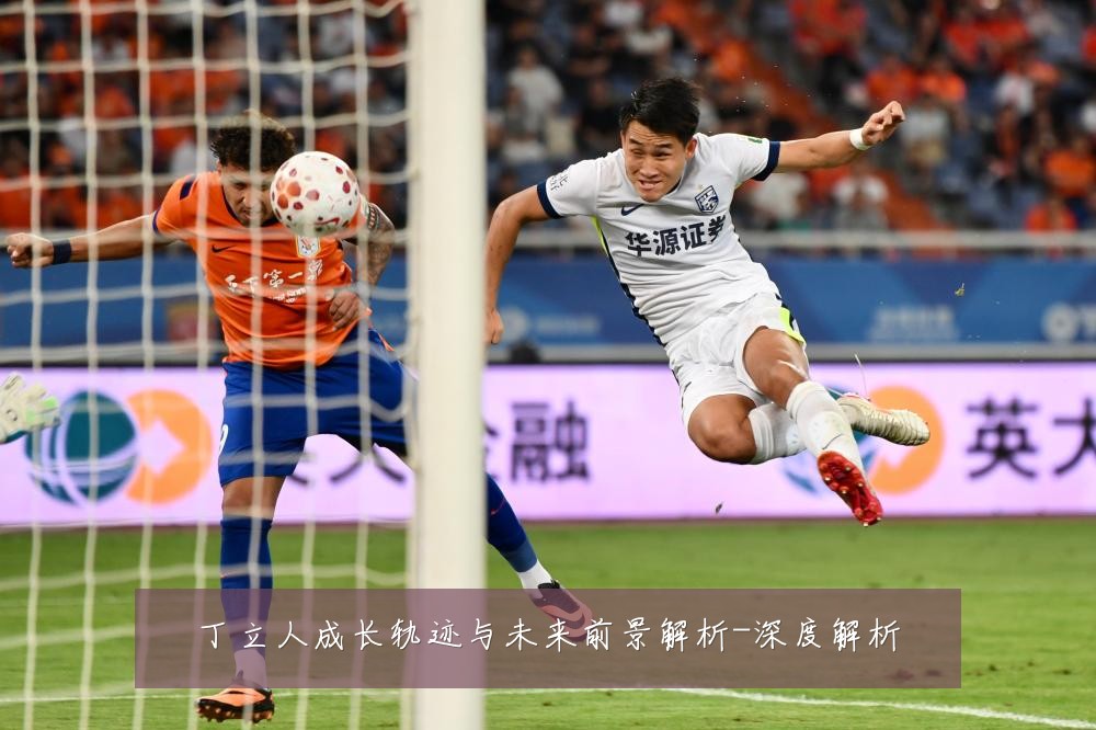 丁立人成长轨迹与未来前景解析-深度解析