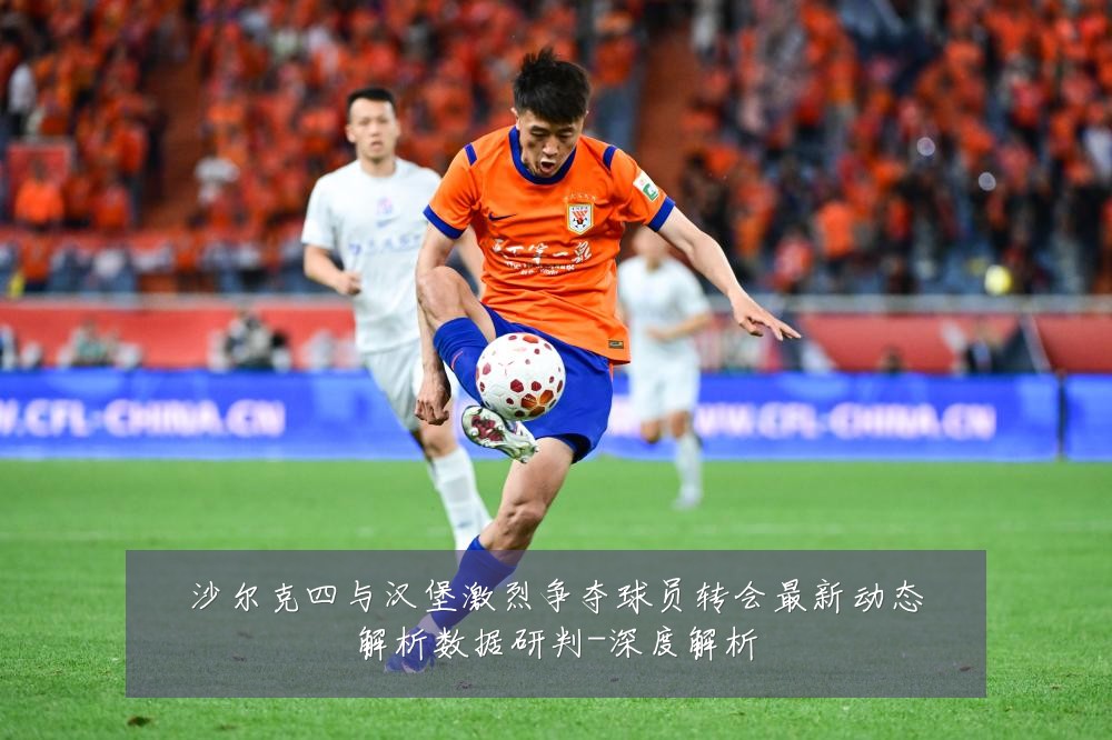 沙尔克四与汉堡激烈争夺球员转会最新动态解析数据研判-深度解析