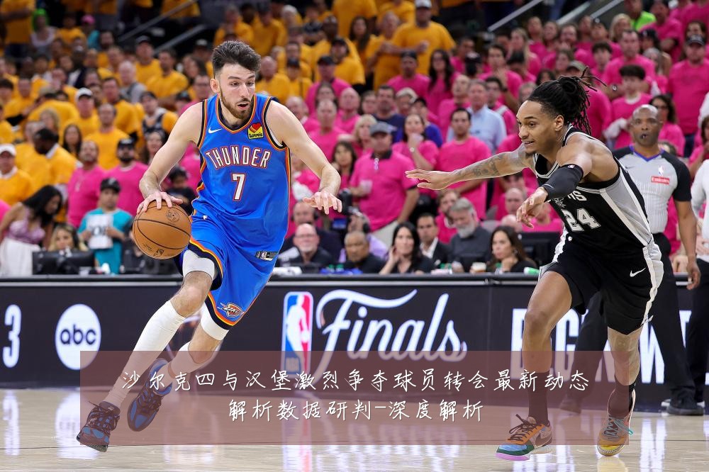 沙尔克四与汉堡激烈争夺球员转会最新动态解析数据研判-深度解析